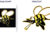 PPV-1169-Honeybee-01